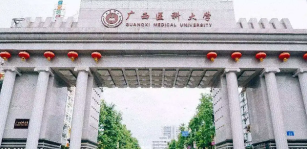 t0143dcc8a082d3a8b3.png