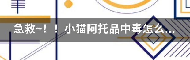 t01a4251195d4de570d.png