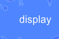display是什么意思中文 display