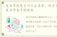 复活节的兔子叫什么名字，西方节日故事:复活节兔子的由来