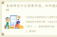 象拔蚌有什么营养价值，如何健康吃象拔蚌