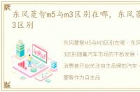 东风菱智m5与m3区别在哪，东风菱智m5与m3区别