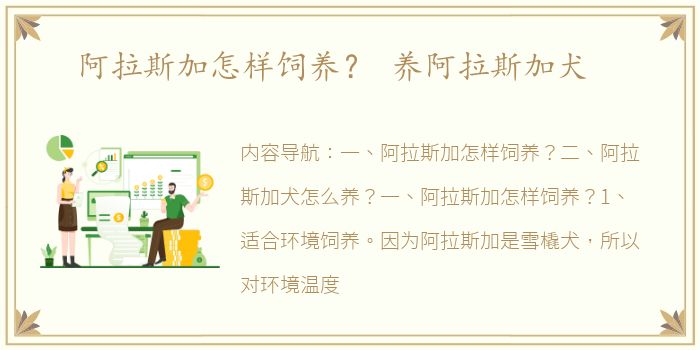阿拉斯加怎样饲养？ 养阿拉斯加犬