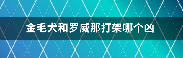 t013009f58b95bbf84d.png