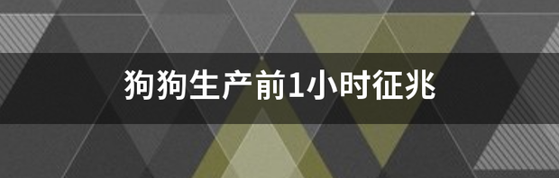 t014b315260d36a8a70.png