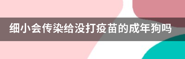 t016ce9ef2cee4d66a1.png
