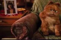 橘猫是不是大多数是公的？ 母橘猫好还是公橘猫好