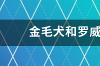 罗威纳犬和细狗打架那个更厉害？ 罗威纳打架的