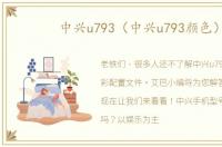 中兴u793（中兴u793颜色）