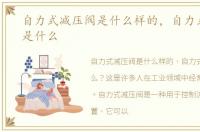 自力式减压阀是什么样的，自力式减压阀是什么