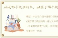 a4是哪个级别的车，a4属于哪个级别的车