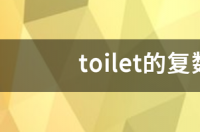 toilet的复数形式怎么写? toilet