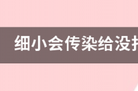 细小病毒传染人吗？ 细小会传染吗