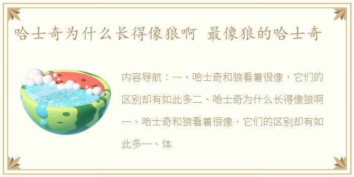 哈士奇为什么长得像狼啊 最像狼的哈士奇