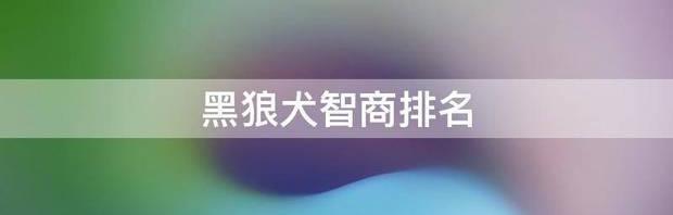 t0120781f43aee6d684.jpg