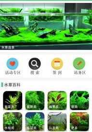 鱼缸里不养水草水就会很混沌吗？ 水草养殖论坛