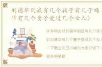 刘德华到底有几个孩子有儿子吗（扒刘德华有几个妻子爱过几个女人）