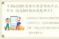斗鱼b总001是银行高管吗做什么工作的叫什么（b总001媳妇高能照片）