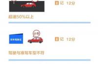 网上查违章哪里最快最准 掌付通交通违章查询网