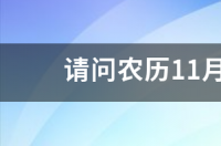 2020年12月出生的孩子是什么星座？ 十一11月5日是什么星座