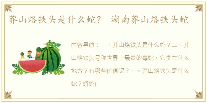 莽山烙铁头是什么蛇？ 湖南莽山烙铁头蛇