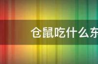 仓鼠吃什么最有营养？ 仓鼠吃什么食物最营养