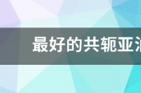 最好的共轭亚油酸是哪个牌子 共轭亚油酸哪个牌子好