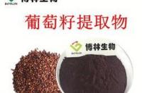 华喜达生产厂家是哪里？ 植物提取物生产厂家