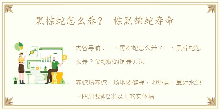 黑棕蛇怎么养？ 棕黑锦蛇寿命