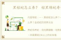 黑棕蛇怎么养？ 棕黑锦蛇寿命