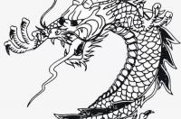 马的名字叫什么霸气？ 马大全大图霸气