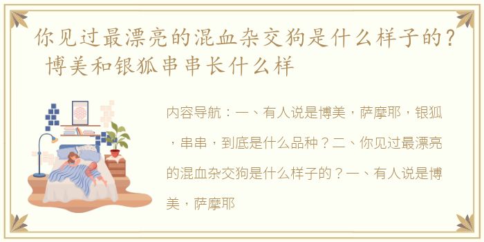 你见过最漂亮的混血杂交狗是什么样子的？ 博美和银狐串串长什么样
