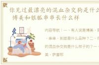 你见过最漂亮的混血杂交狗是什么样子的？ 博美和银狐串串长什么样