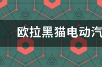 欧拉黑猫电动汽车多久换电池？ 欧拉黑猫电动汽车价格及