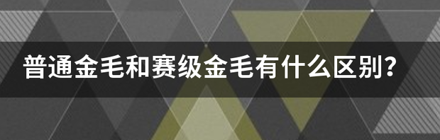 t01cc6249c1c864e1b6.png