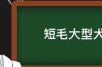 短毛大型犬都有哪几种？ 短毛大型犬有哪些