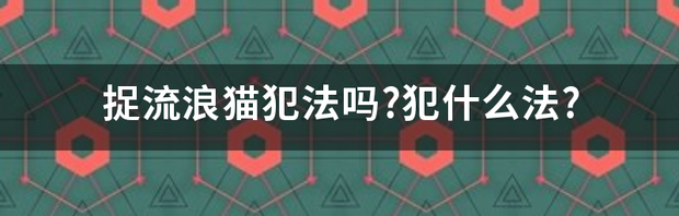 t01a1cc035e4571006e.png