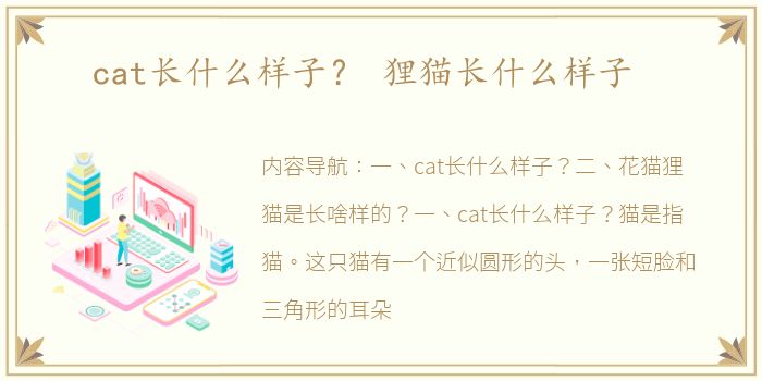 cat长什么样子？ 狸猫长什么样子