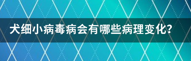 t01eed457db5f27eebe.png