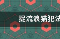 捉流浪猫犯法吗?犯什么法? 吸猫犯法吗