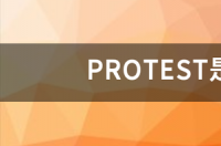 PROTEST是哪国的时装品牌？ protest