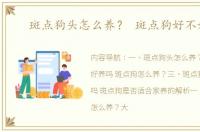 斑点狗头怎么养？ 斑点狗好不好养