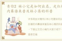 青你2 林小宅是如何出名、走红的抄袭的内幕谁来普及林小斋的科普