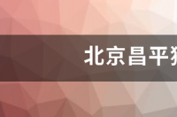 请问北京的狗市场比较大的都在哪里？ 北京有狗市吗