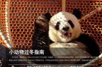 动物过冬的方式有哪些？ 小动物过冬的方式有哪些