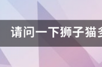 山东狮子猫有哪些品种？ 狮猫价格