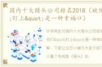 国内十大猎头公司排名2018（被他们"盯上"是一种幸福口）
