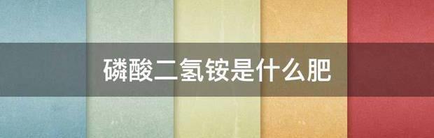t017df979187b9ee44b.jpg