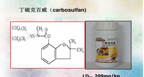 t01d15285af9db425ac.png