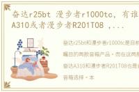 奋达r25bt 漫步者r1000tc，有谁用过奋达A310或者漫步者R201T08 ,这两款各有什么优势